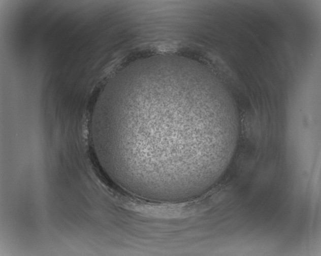 X0000056360032200508291356