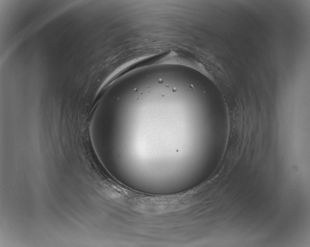 X0000056360033200508291356