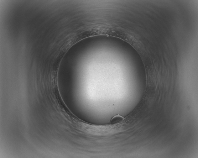 X0000056360034200508291356