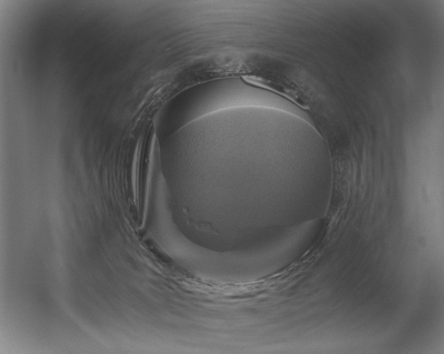 X0000056360035200508291356