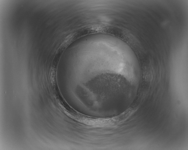 X0000056360036200508291356