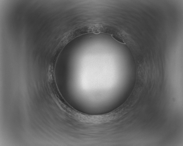 X0000056360038200508291356