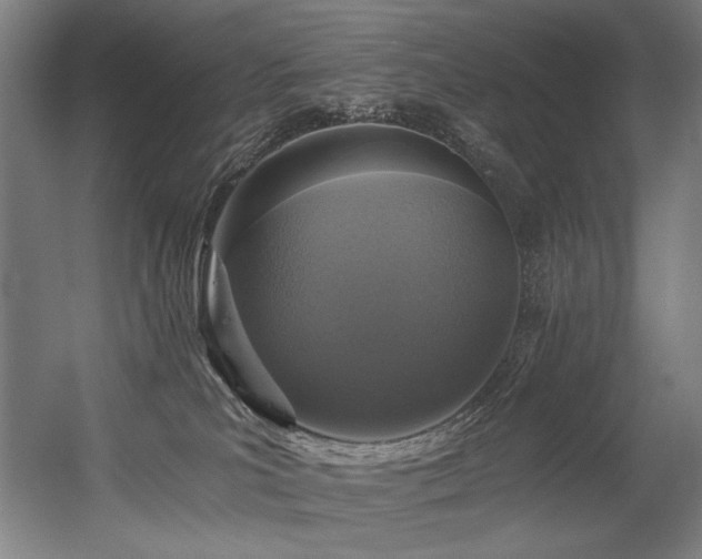 X0000056360039200508291356