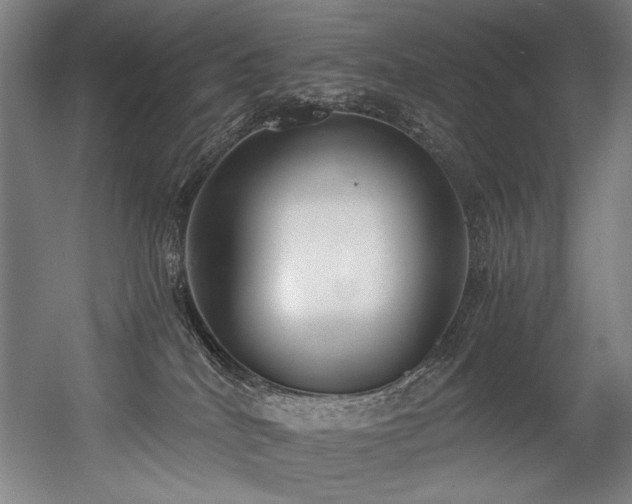 X0000056360040200508291356