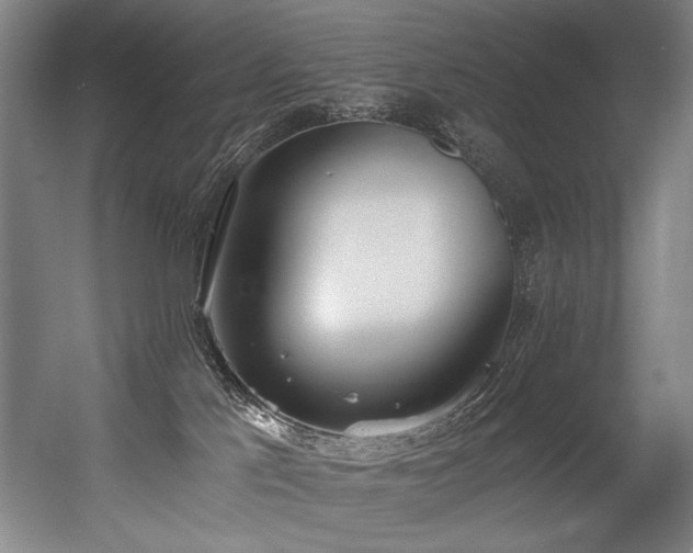 X0000056360041200508291356