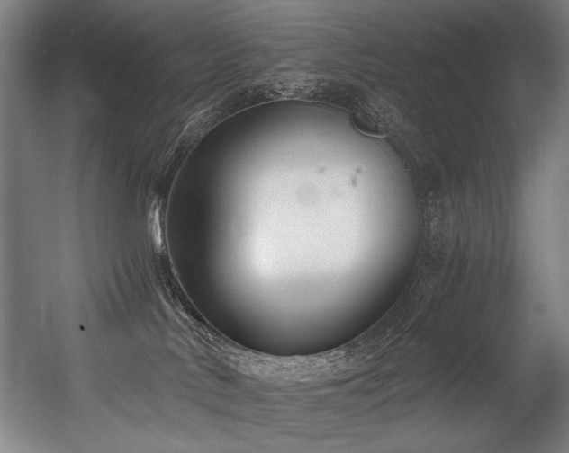 X0000056360042200508291356