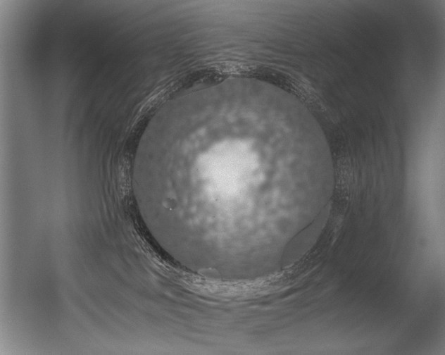 X0000056360043200508291356