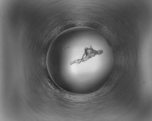 X0000056360044200508291356