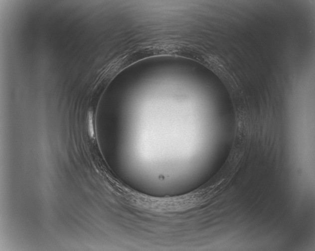 X0000056360046200508291356