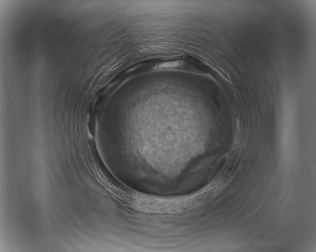 X0000056360048200508291356