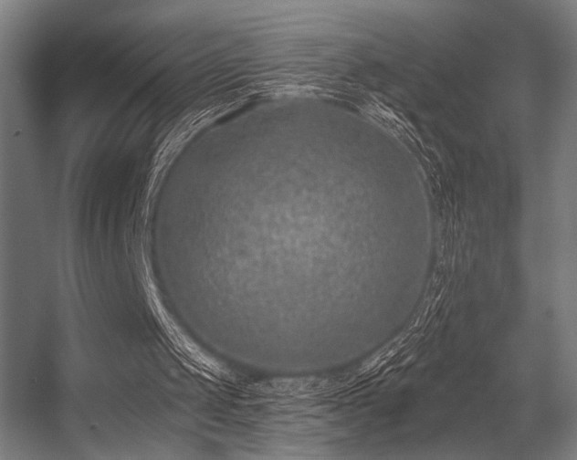 X0000056360049200508291355