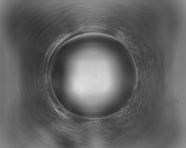 X0000056360050200508291355