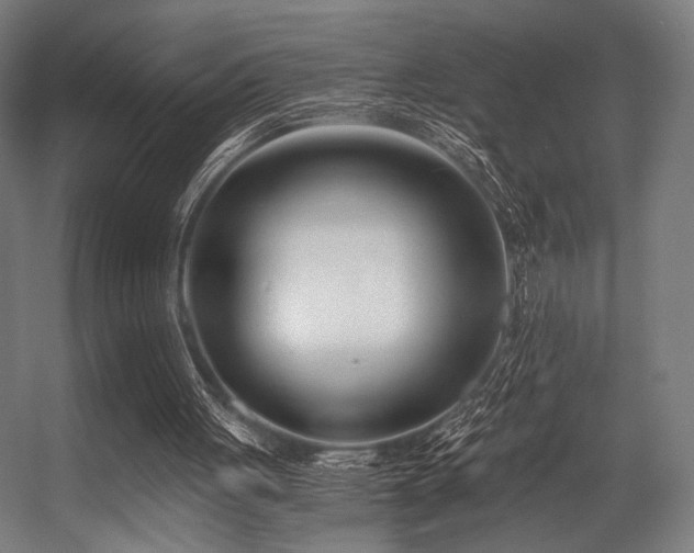 X0000056360051200508291355