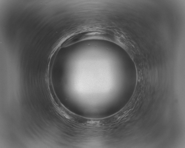 X0000056360052200508291355