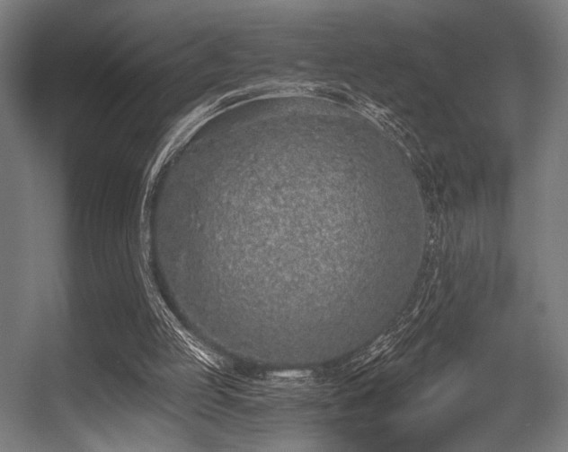 X0000056360053200508291355