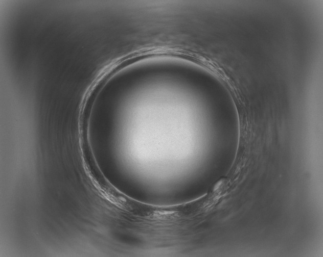 X0000056360055200508291355