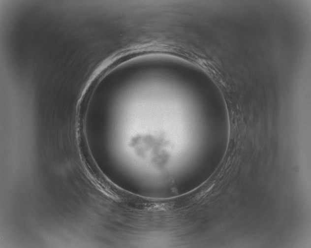 X0000056360056200508291355