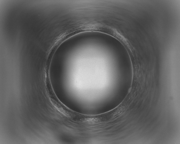 X0000056360059200508291355