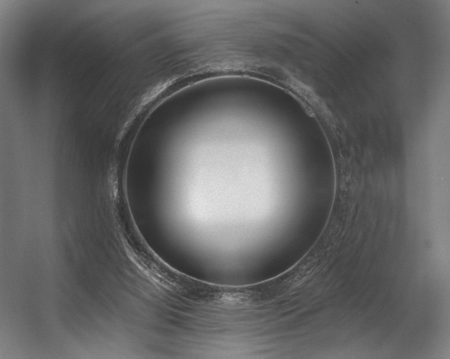 X0000056360060200508291355