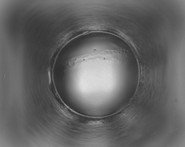 X0000056360061200508291355