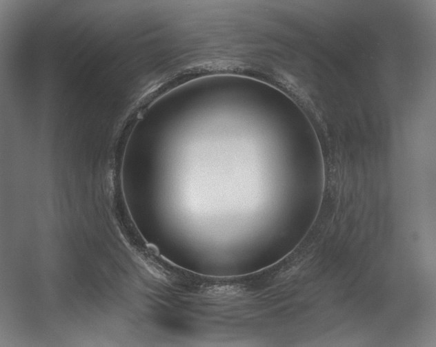 X0000056360063200508291355