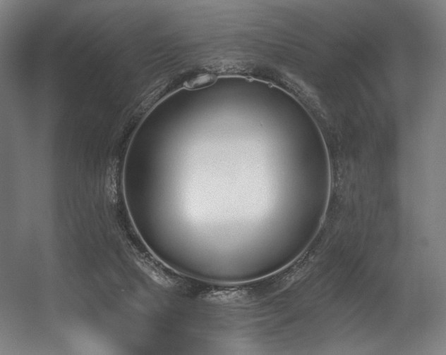 X0000056360065200508291355