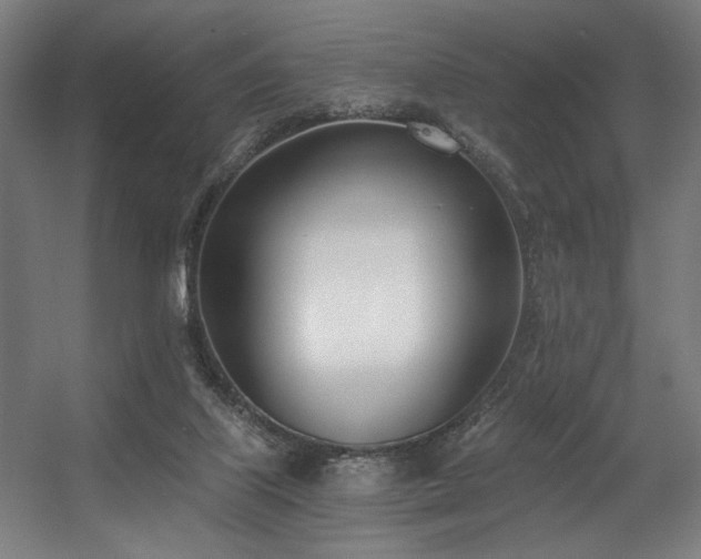 X0000056360067200508291355