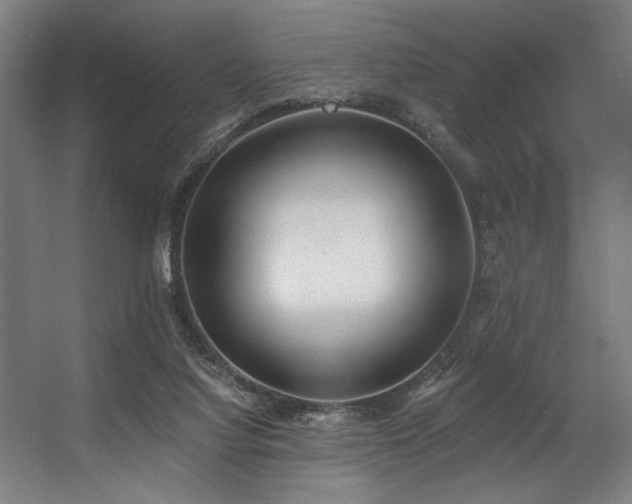 X0000056360068200508291355