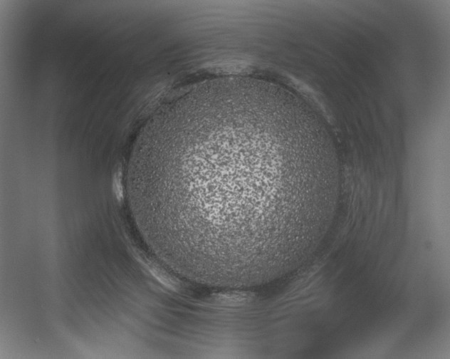 X0000056360069200508291355