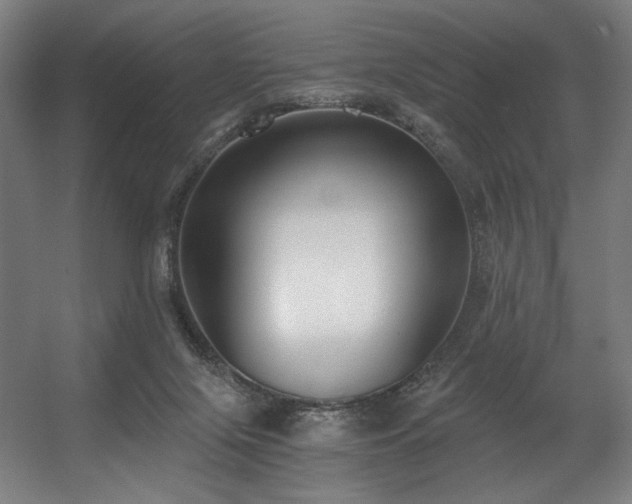 X0000056360071200508291355