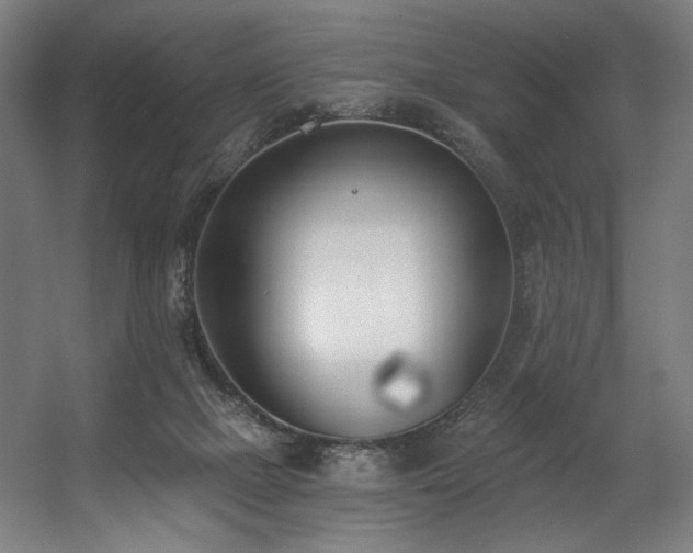 X0000056360073200508291355