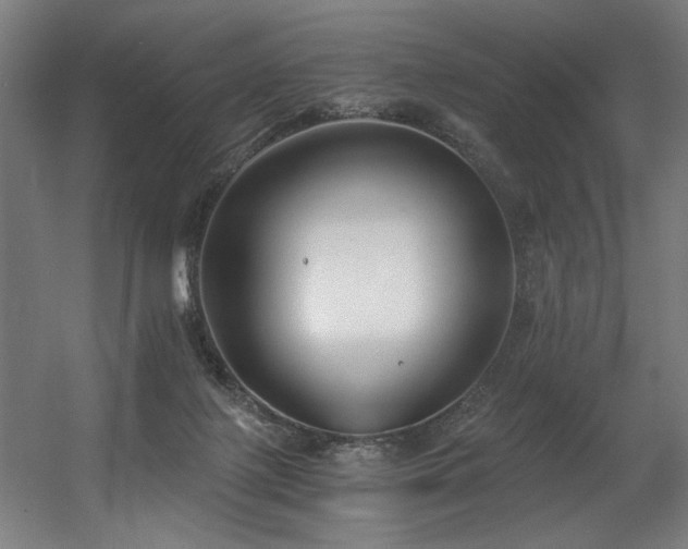 X0000056360075200508291355