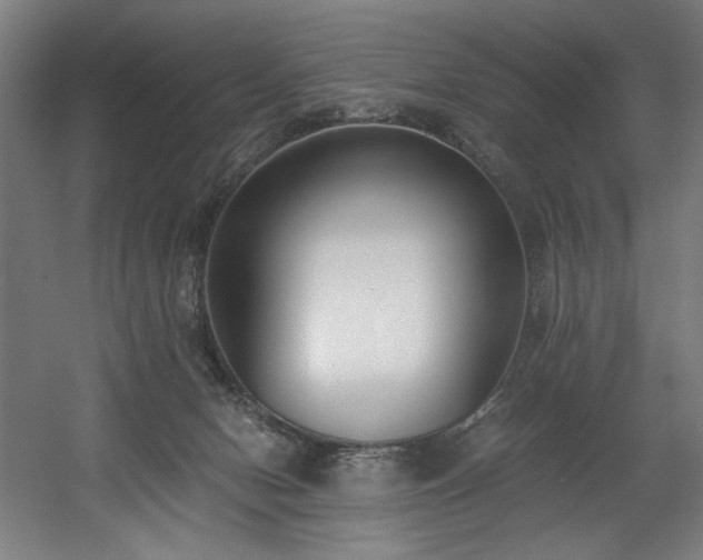 X0000056360078200508291355