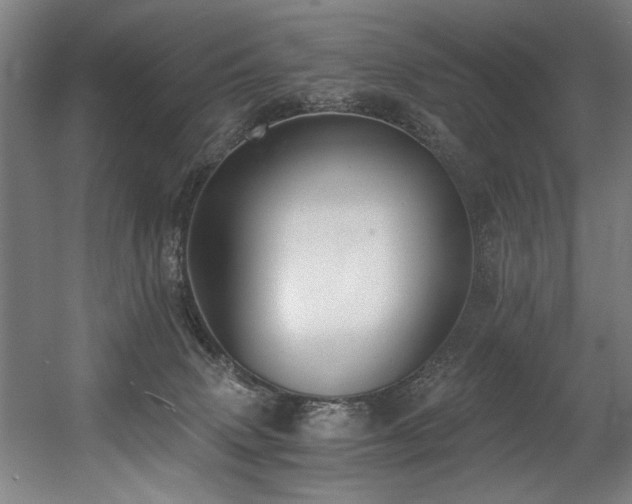 X0000056360083200508291355