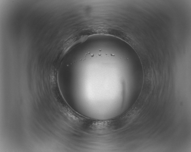 X0000056360084200508291355