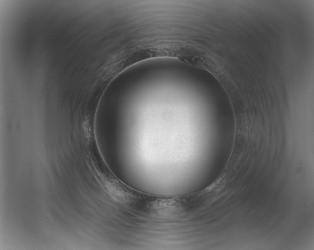 X0000056360086200508291355