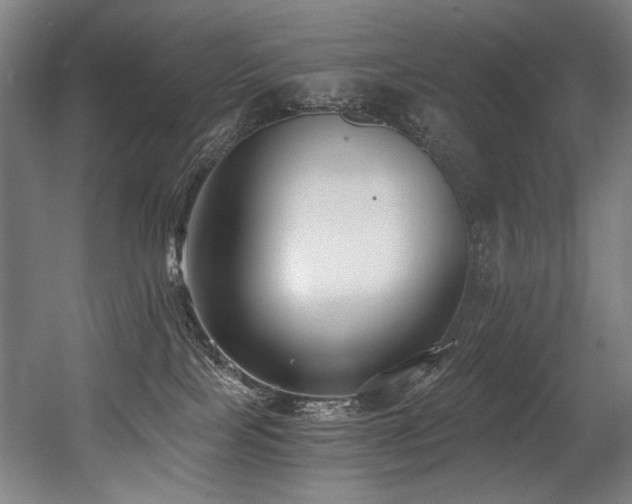 X0000056360089200508291355