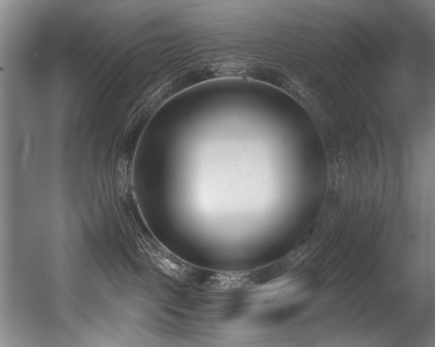 X0000056360093200508291355