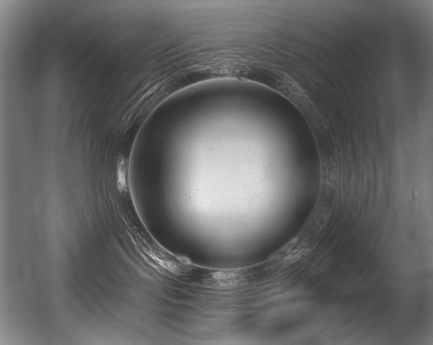 X0000056360095200508291356