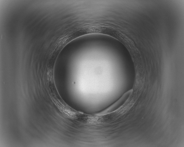 X0000056360096200508291356