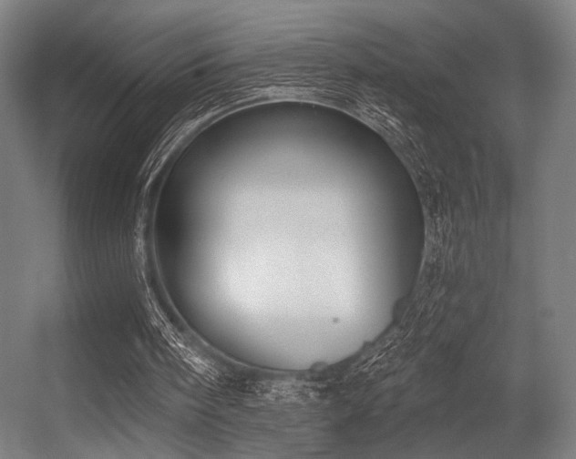 X0000056360098200508291355