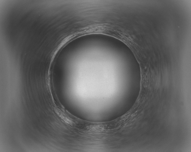 X0000056360100200508291355