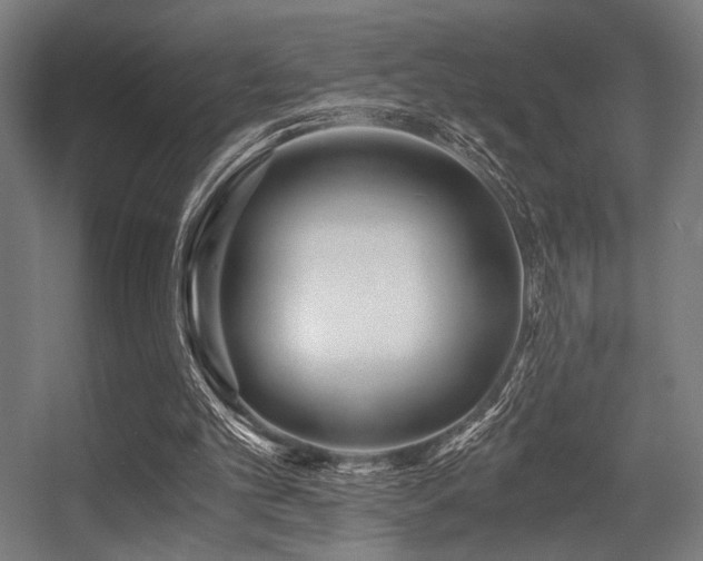 X0000056360101200508291355