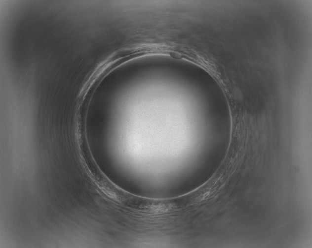 X0000056360103200508291355