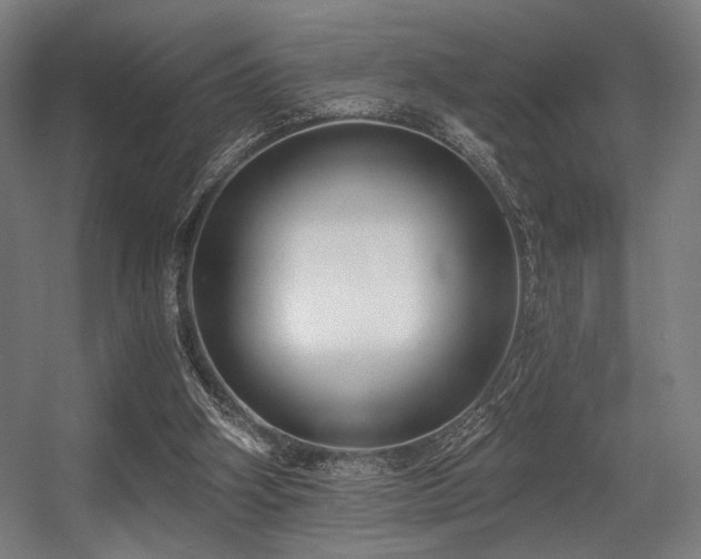 X0000056360106200508291355