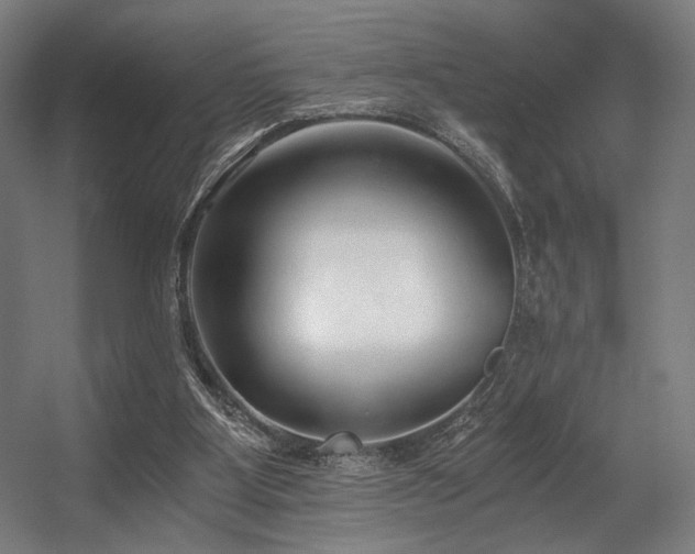 X0000056360107200508291355