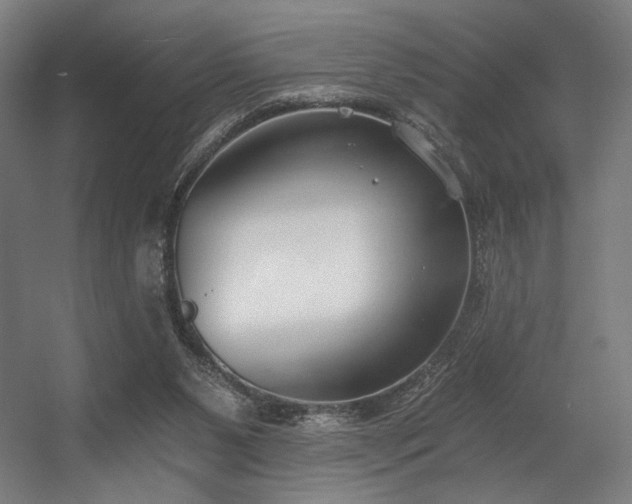 X0000056360111200508291354