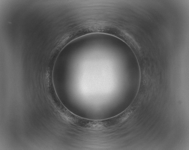 X0000056360113200508291354