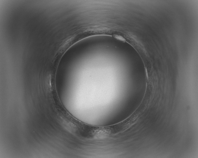 X0000056360115200508291354