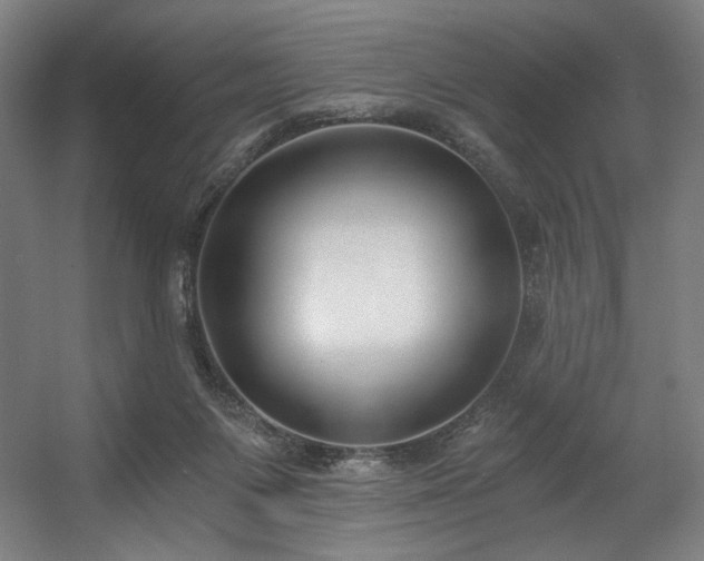 X0000056360119200508291354